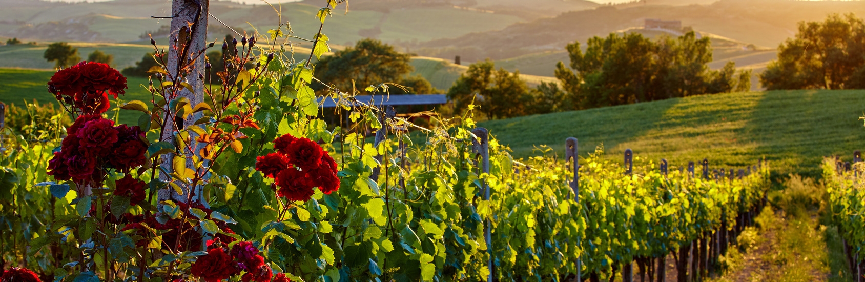 slide_tramonto3_hi